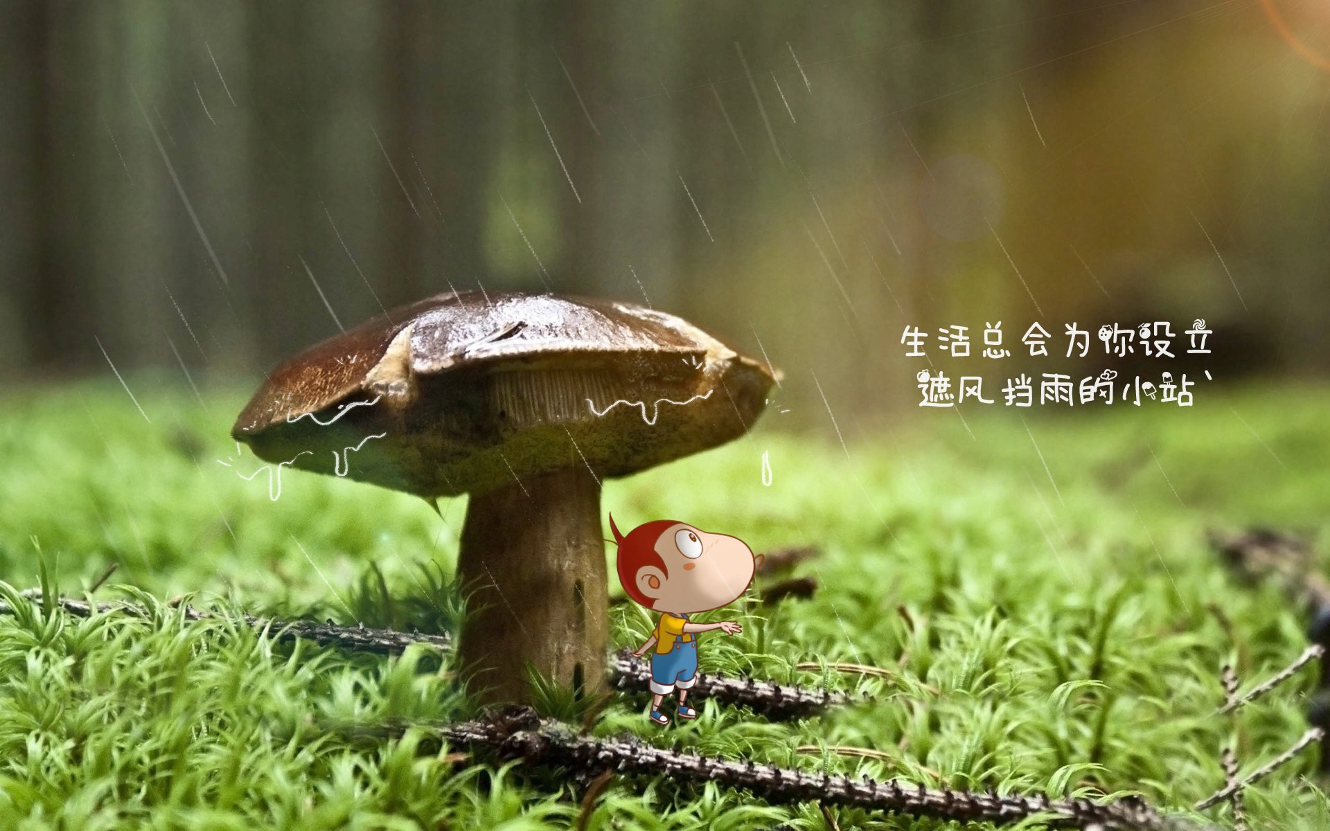_火山脚下的探险跑：自然风光中的极限运动_，火山探险之旅