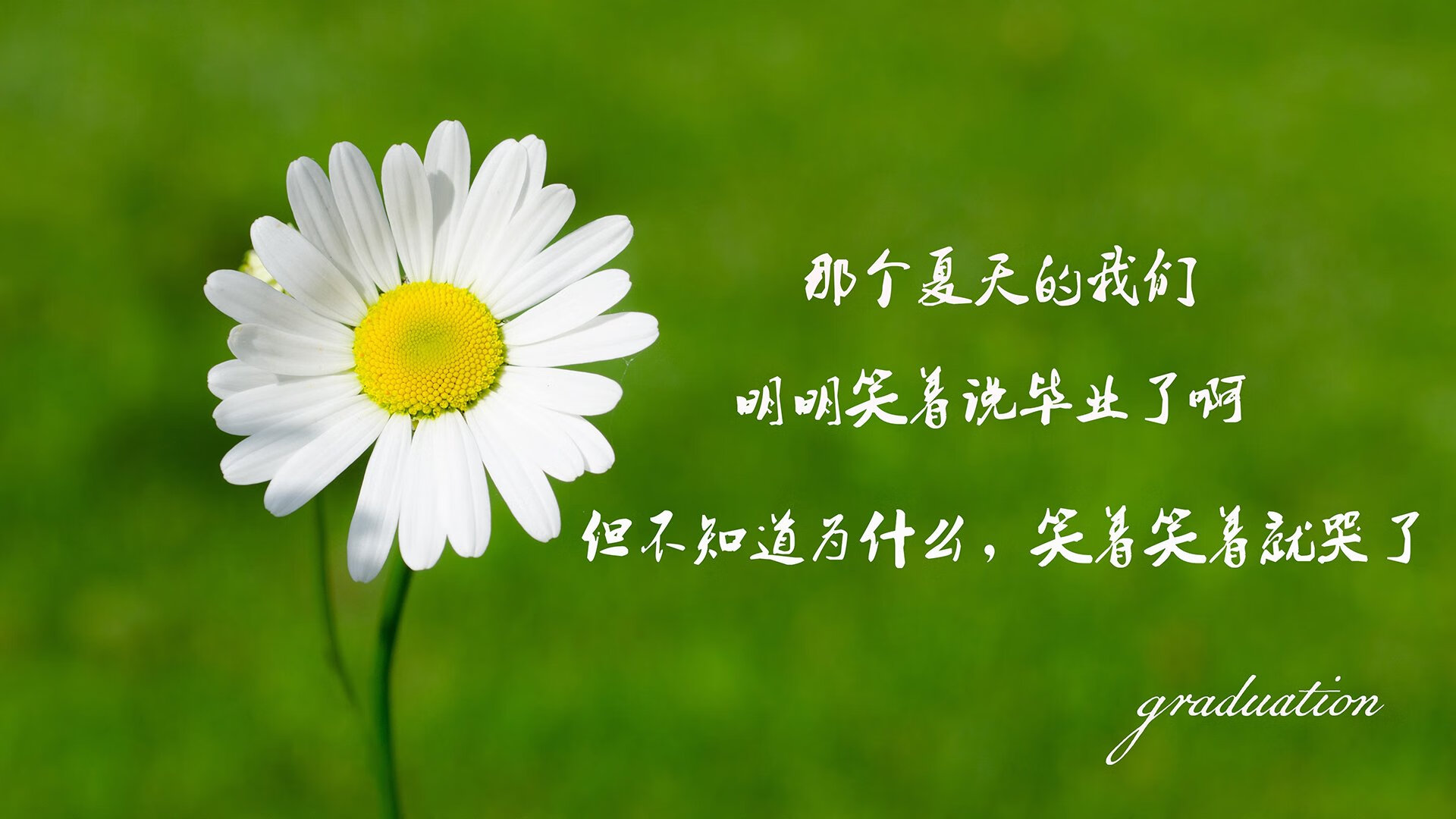 塞内加尔男足在巴黎奥运会上表现出色，赢得银牌，塞内加尔足协