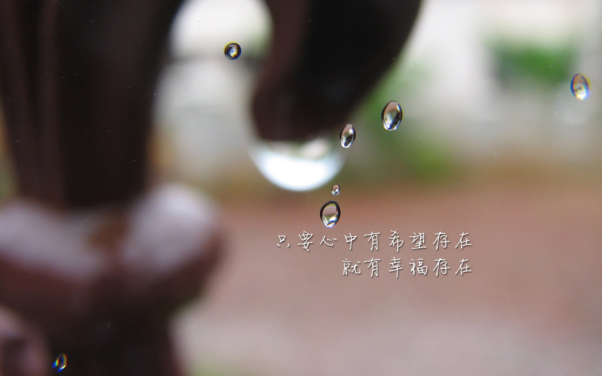 战绩波动背后：深度解析球队变化原因，球队现状