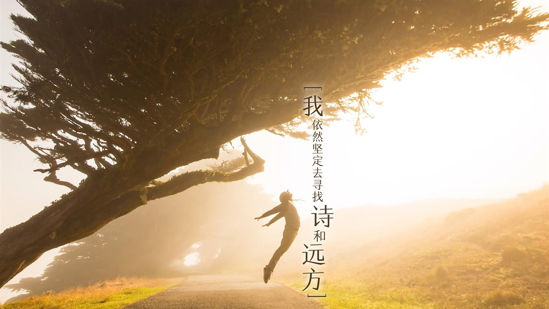 顶尖球队在比赛中展现出非凡实力，轻取三分，顶尖球员难度
