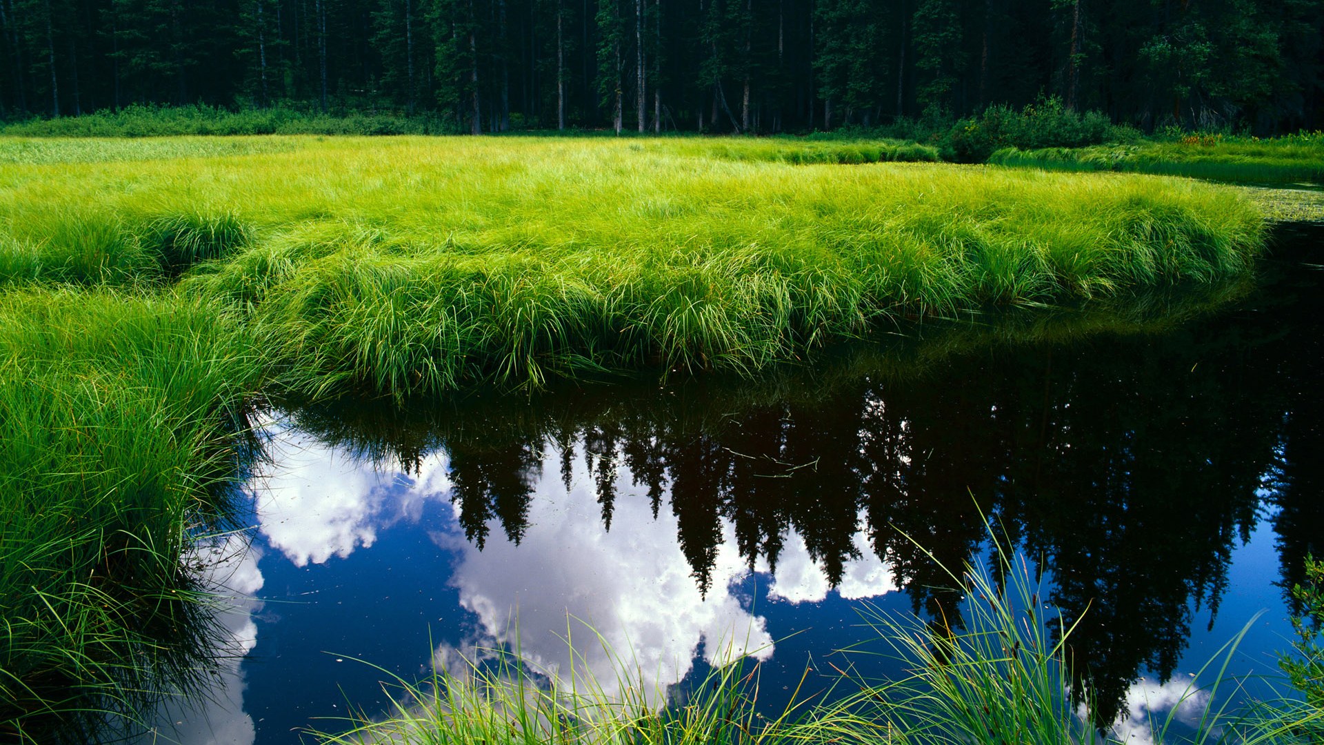 纳米比亚男篮在非洲预赛中拼搏奋战，迈向奥运梦想，非洲纳米比亚简介