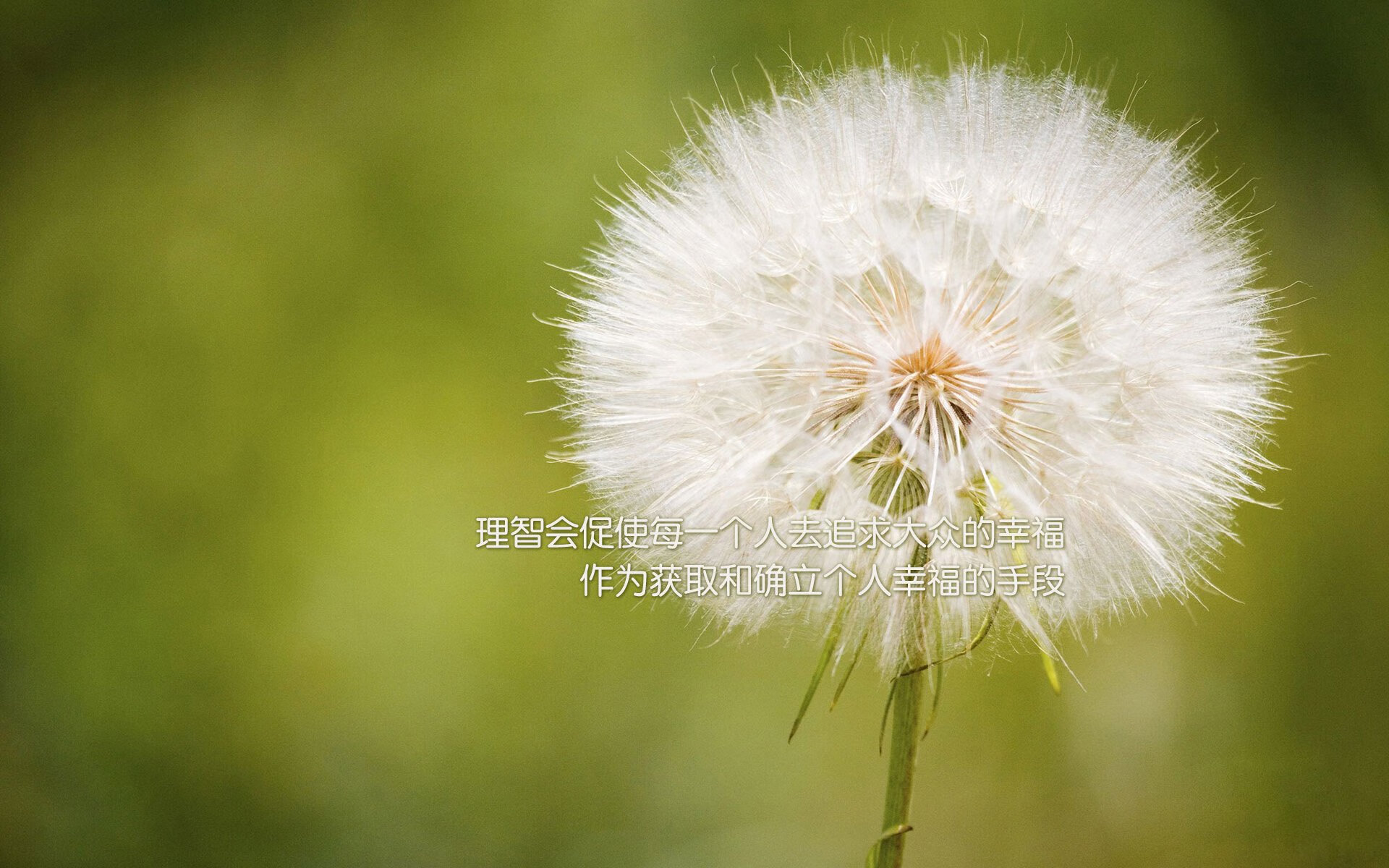 羽毛球训练基地智能监控系统投入使用,羽毛球智能管理系统