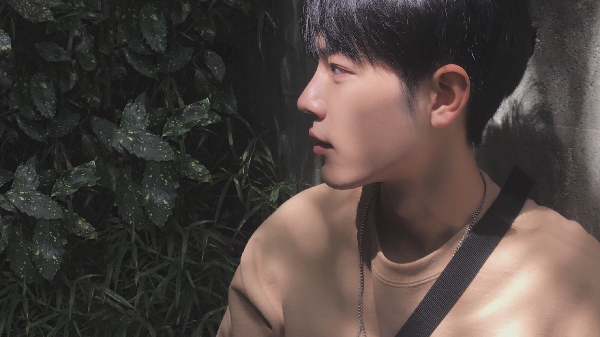 鹈鹕宣布新球馆建设计划预计两年后完工，鹈鹕主场在哪